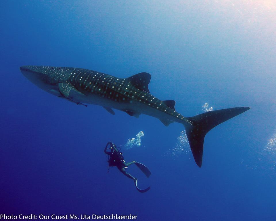 Boutique Beach All Inclusive Diving Hotel Dhigurah  Dış mekan fotoğraf