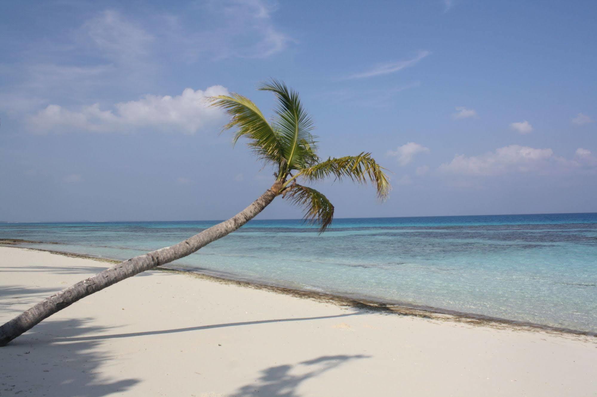 Boutique Beach All Inclusive Diving Hotel Dhigurah  Dış mekan fotoğraf
