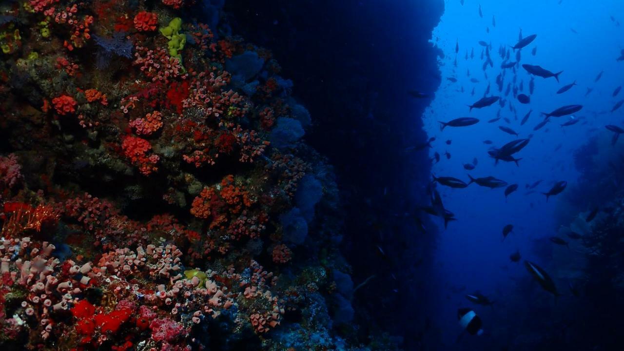Boutique Beach All Inclusive Diving Hotel Dhigurah  Dış mekan fotoğraf